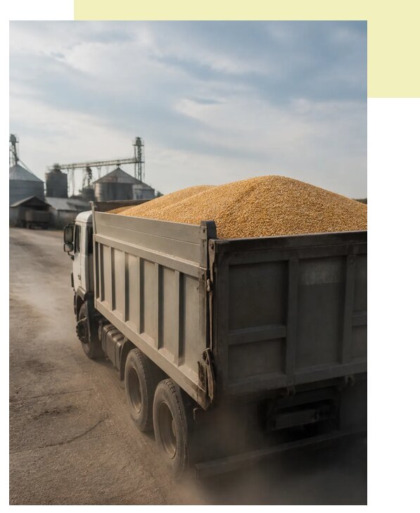 Перевозка сельхозпродукции навалом в Красногорск по цене от 3048 р. | Агросервис-Крр
