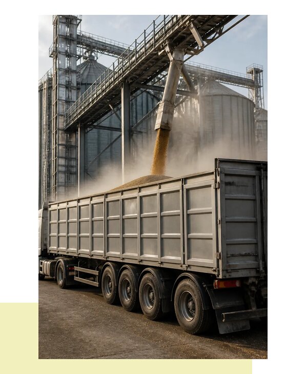 Перевозка зерна с элеватора в Красногорск автомобильным транспортом